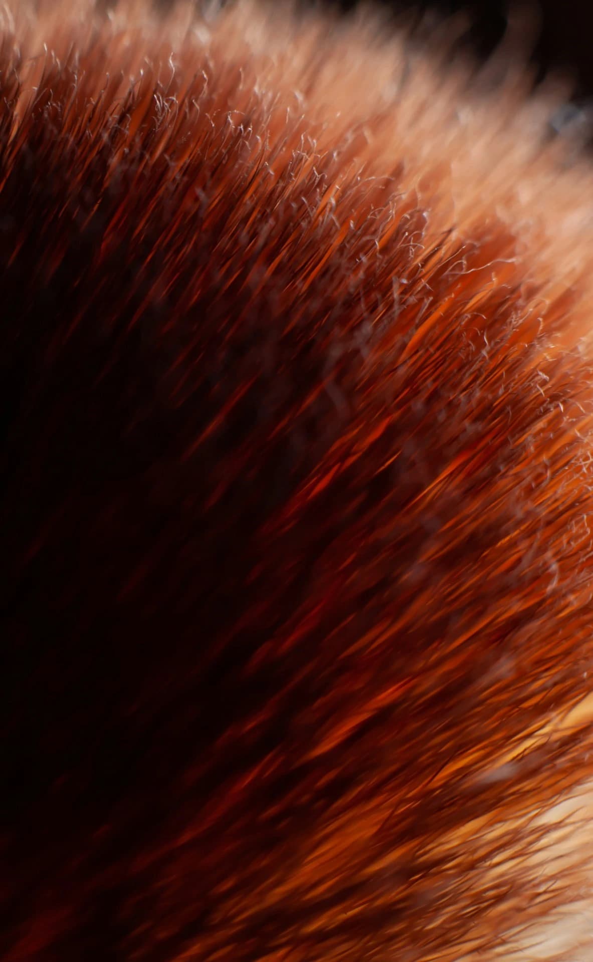 MakeOver hero background